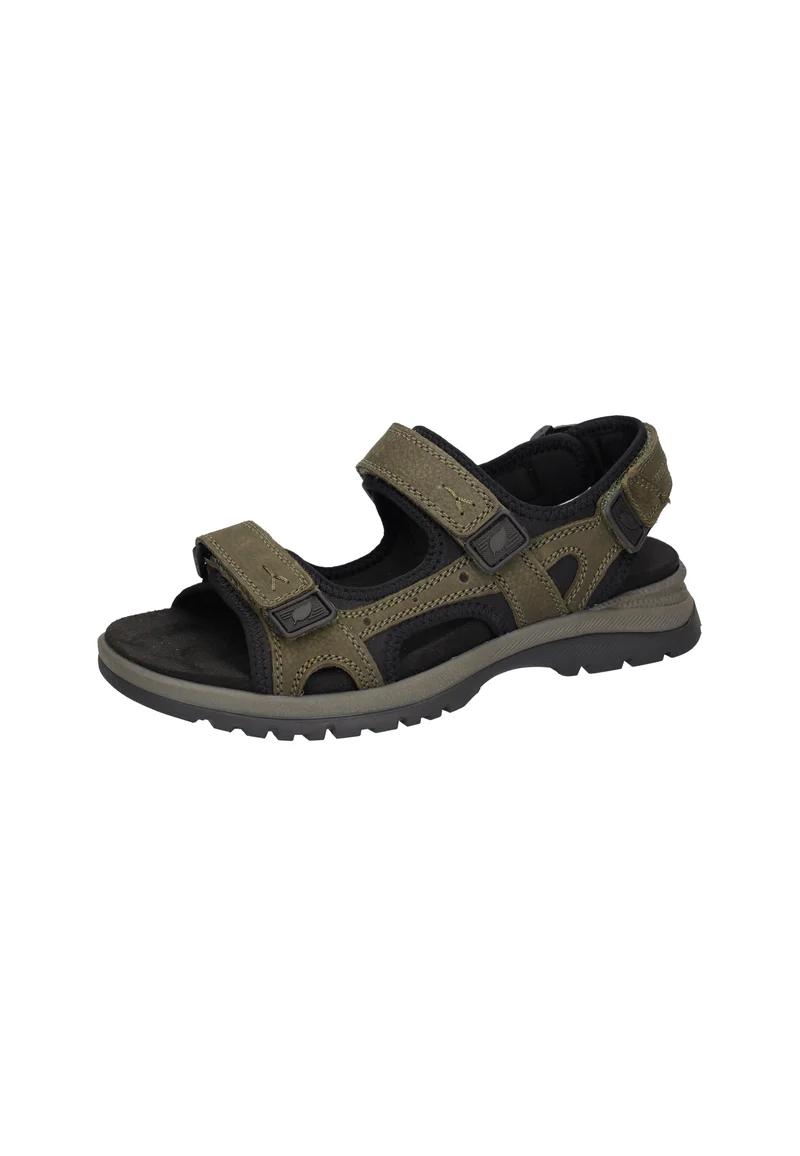 H-Taro olive