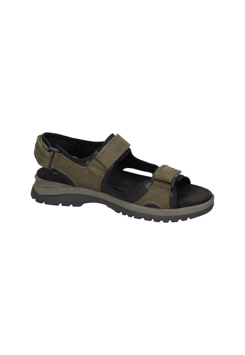 H-Taro olive
