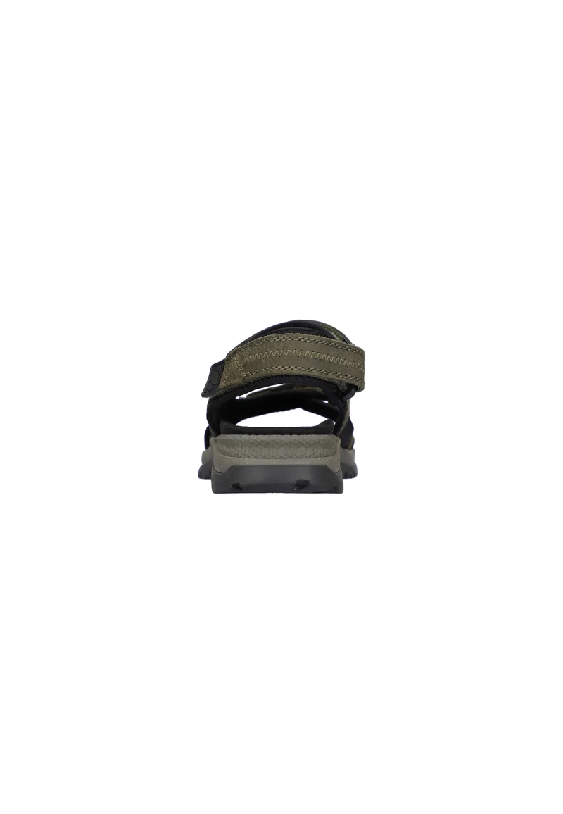 H-Taro olive