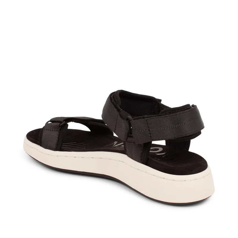 Line - Black