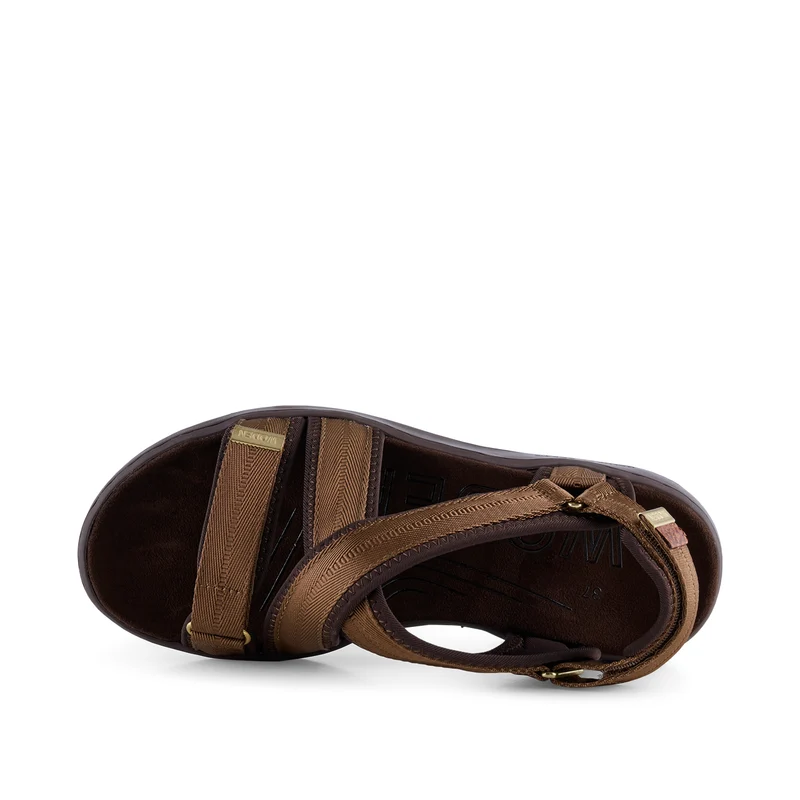 Line Cross - Latte