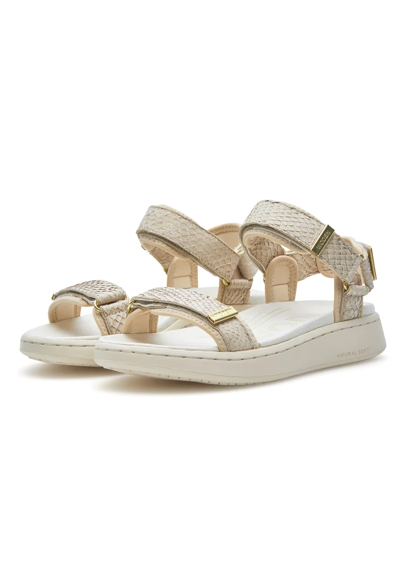 Line Fish - Ivory