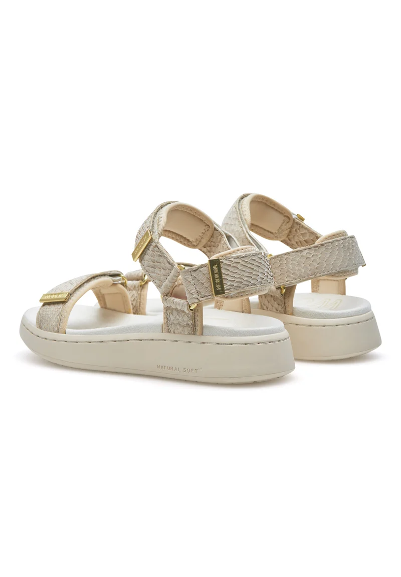 Line Fish - Ivory