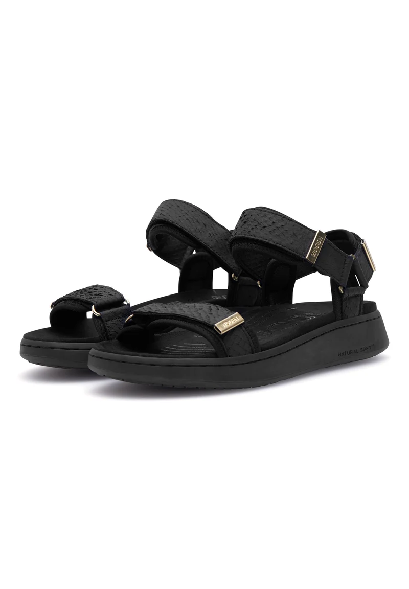 Line Fish - Black