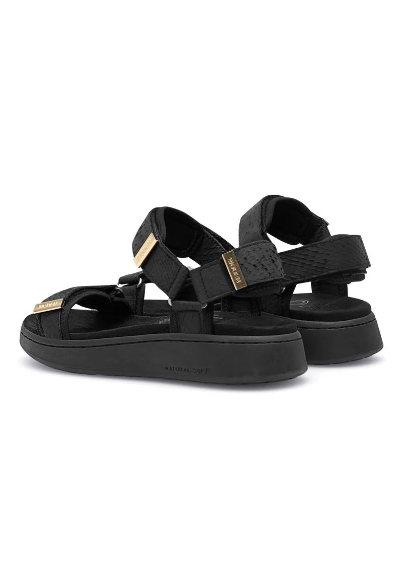 Line Fish - Black