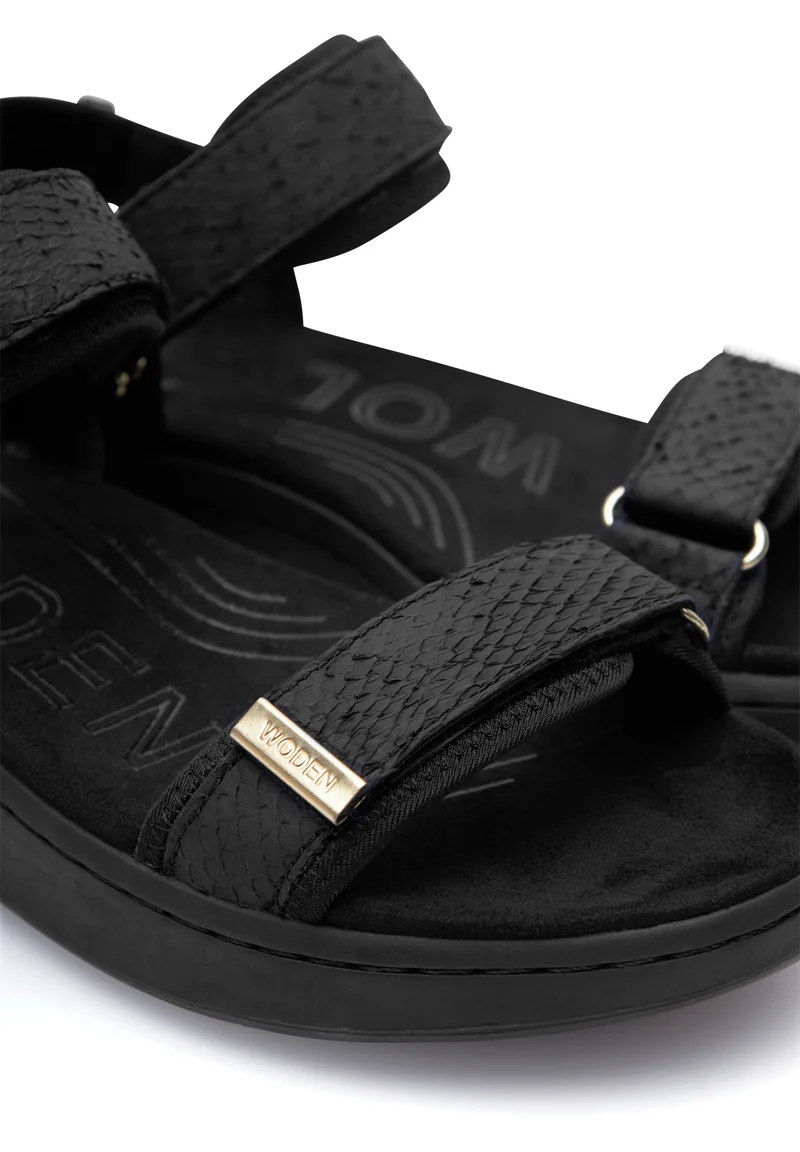 Line Fish - Black