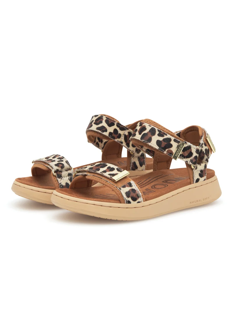 Line Animal - Leopard