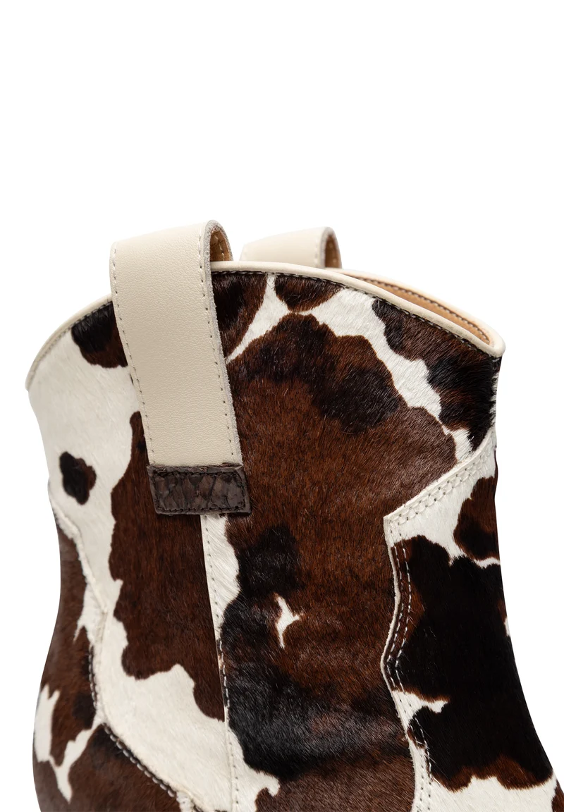 Dicte Animal - Cow