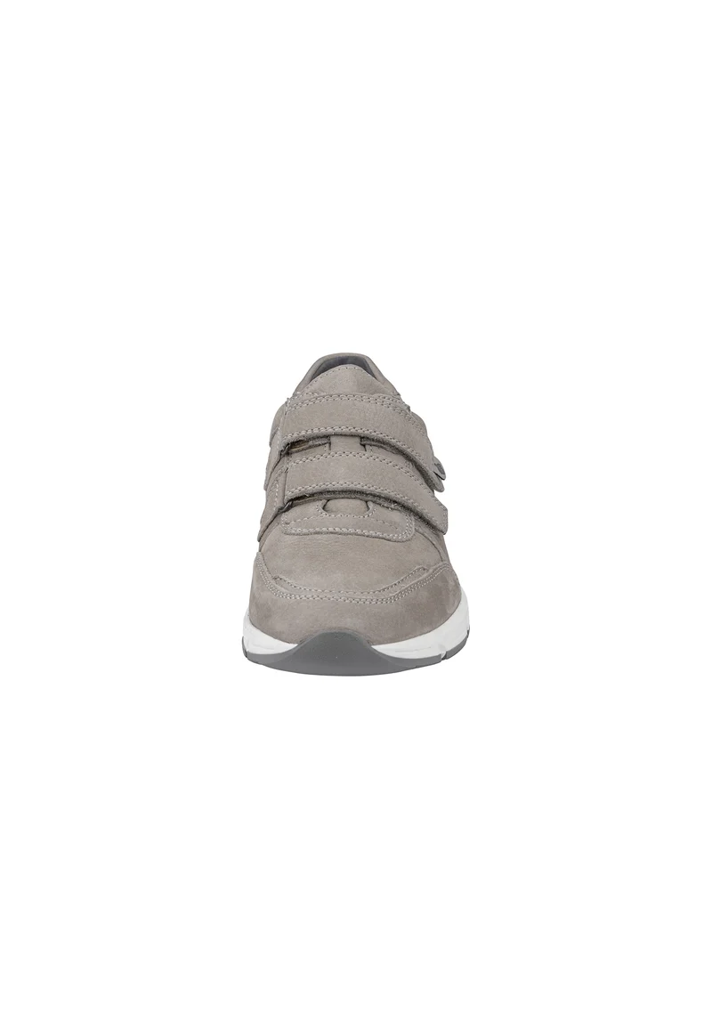 Haslo beige