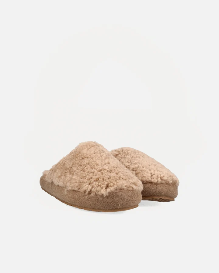 STARLEY | Camel
