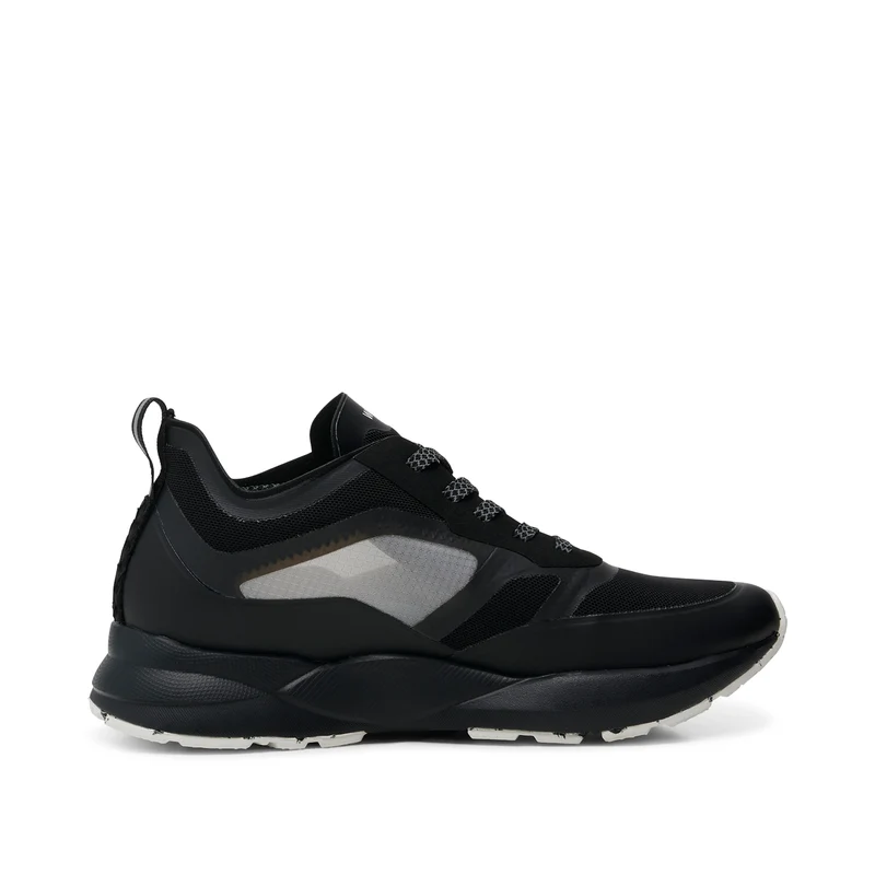 Stelle Transparent - Black