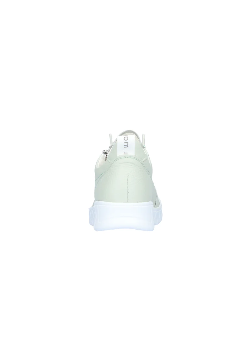H-Birdy menta