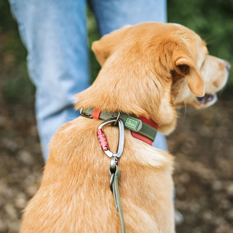Halsband Havanna