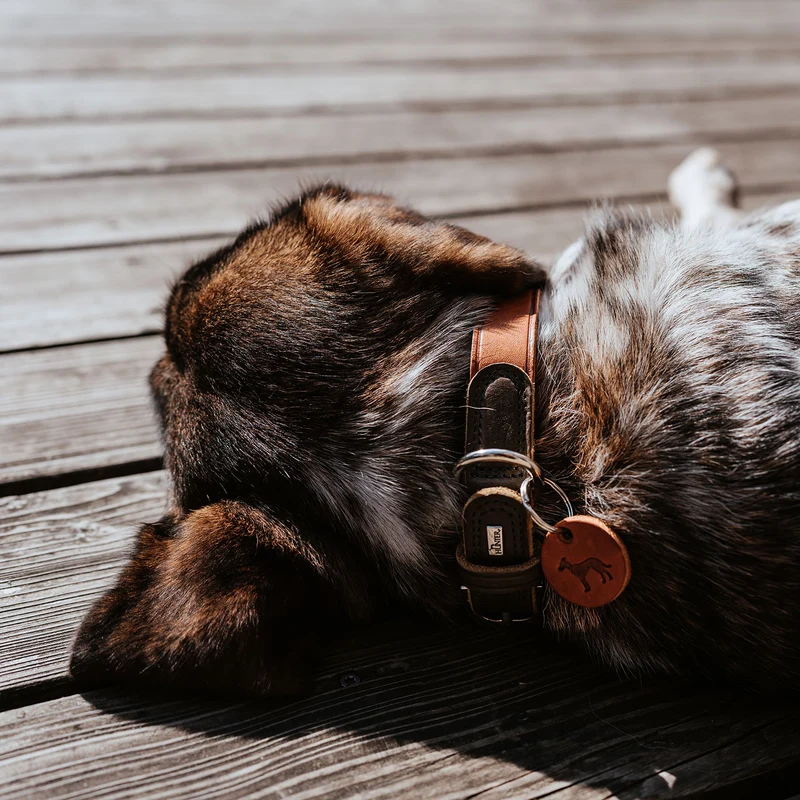 Halsband Lemvig