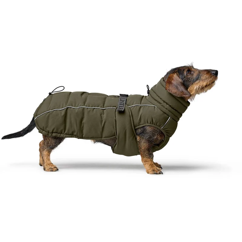Hundemantel Paxson Dackel