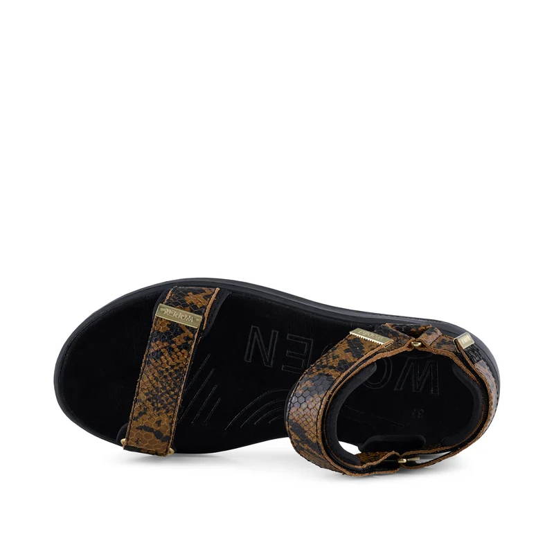 Line Snake - Brown Snake