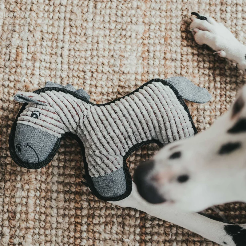Hundespielzeug Kolding