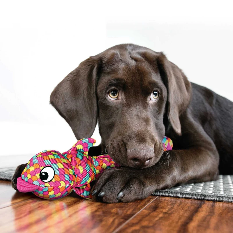 Hundespielzeug KONG® Wubba™ Finz
