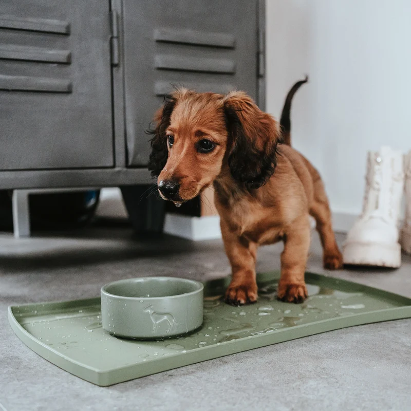 Keramik-Napf Osby