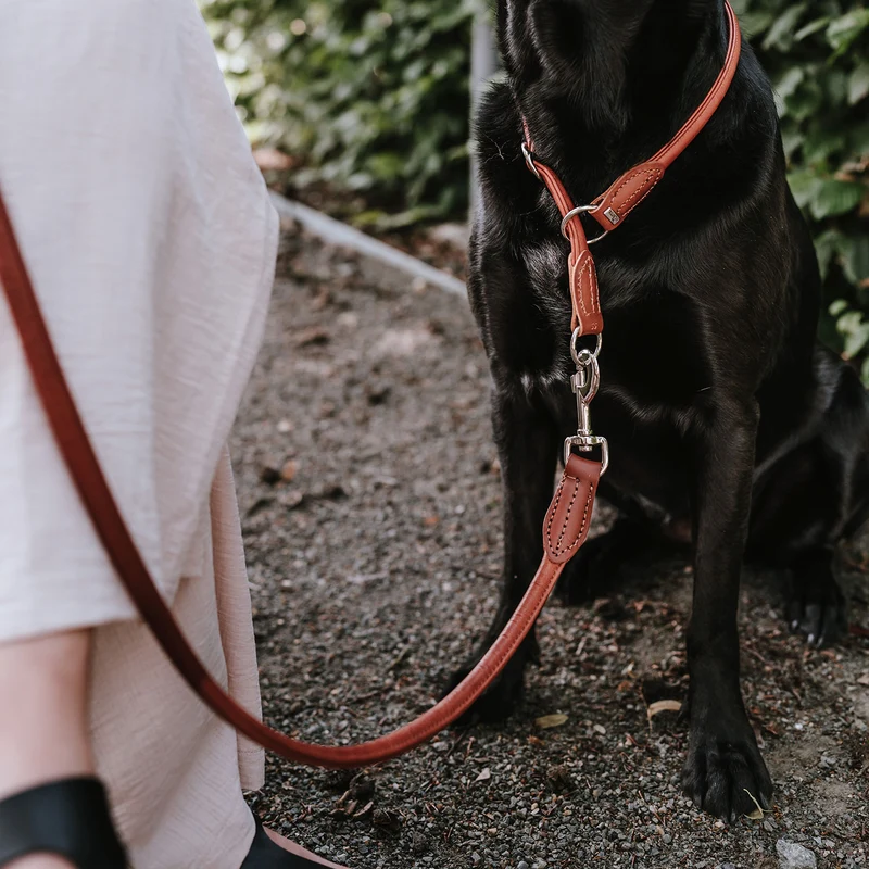 Dressurhalsung Round & Soft Canadian Up