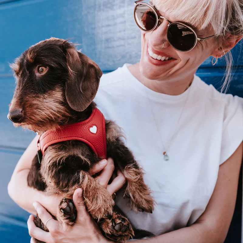 Geschirr Love