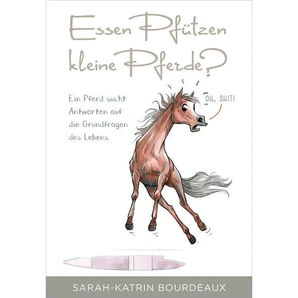 essen Pfützen kleine Pferde