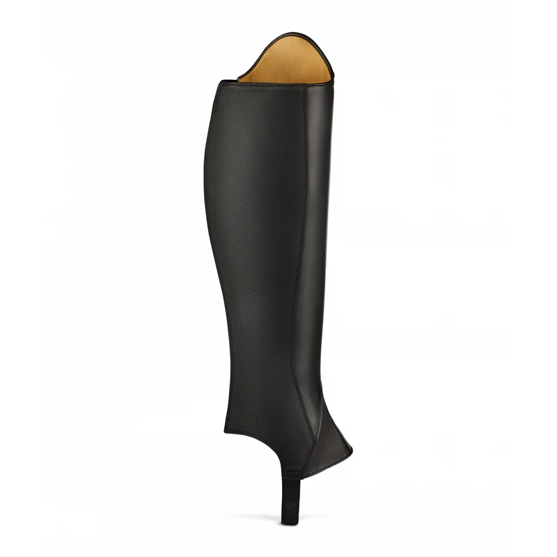 CAVALDRESSAGE Chap