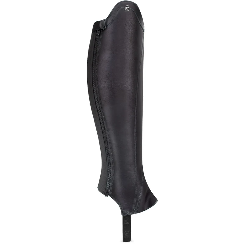 CAVALDRESSAGE Chap
