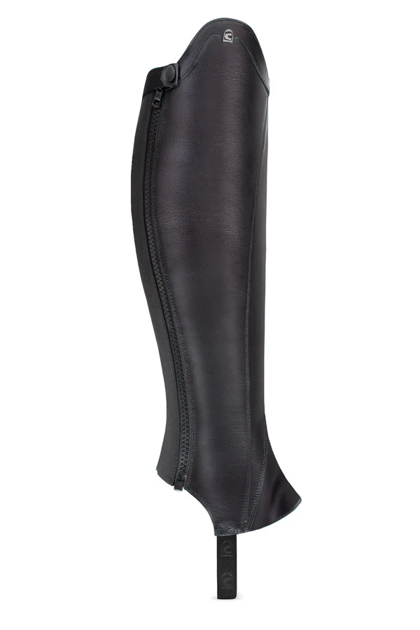 CAVALDRESSAGE Chap