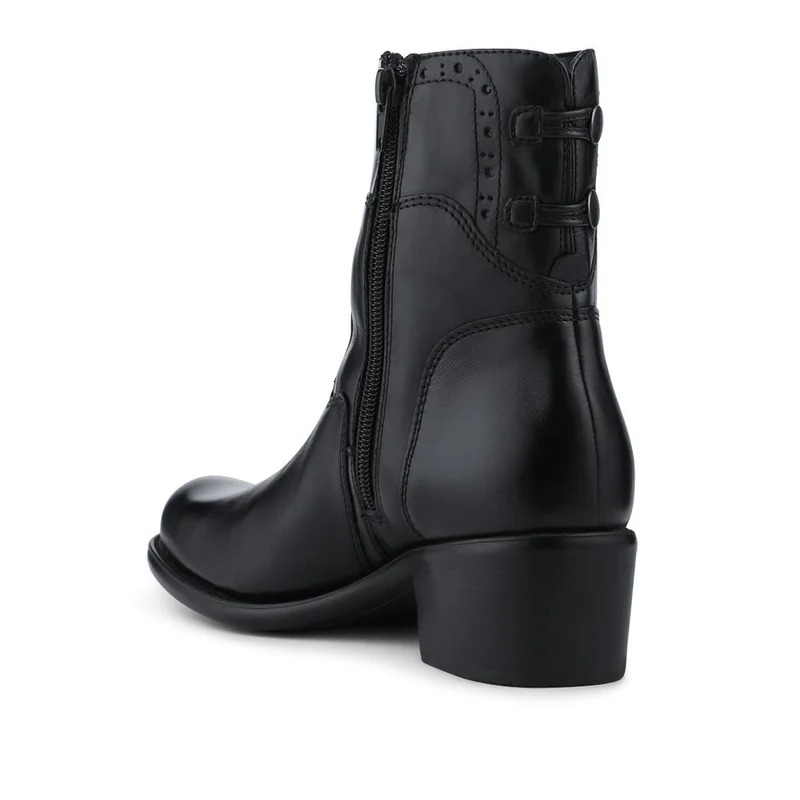 Laurelle Leather Zip Fasten Ankle Boots - LAURELLE / 328 214 - Black