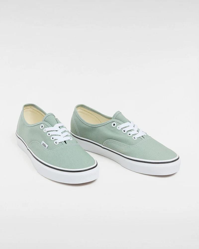 VANS Authentische Unisex-Sneaker von Color Theory – Eisberggrün