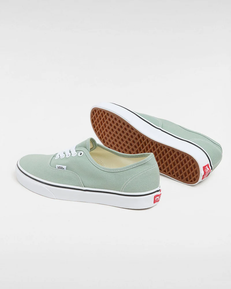 VANS Authentische Unisex-Sneaker von Color Theory – Eisberggrün