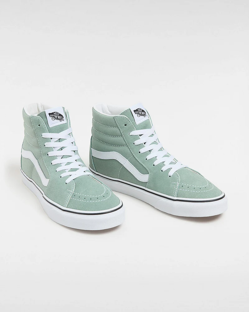VANS Unisex Sk8-Hi Color Theory Trainer – Eisberggrün