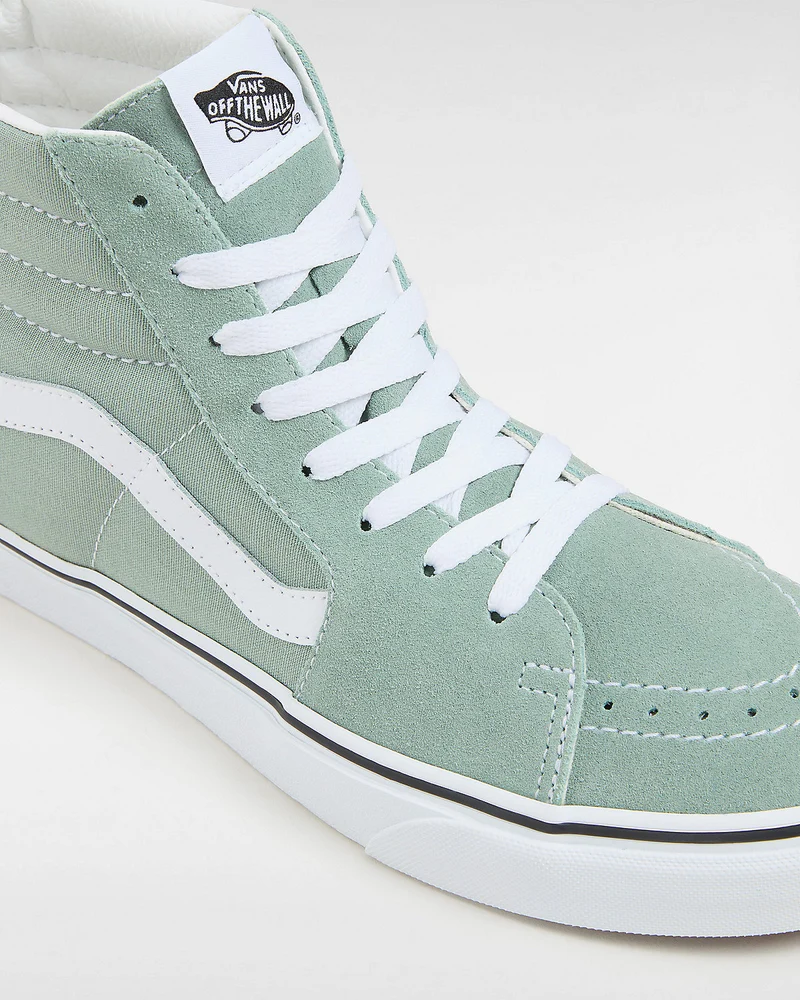 VANS Unisex Sk8-Hi Color Theory Trainer – Eisberggrün