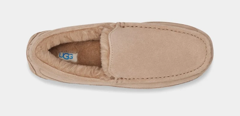 UGG Ascot-Hausschuhe für Herren | Sand